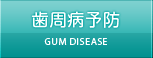 歯周病予防 GUM DISEASE