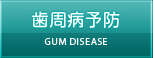 歯周病予防 GUM DISEASE